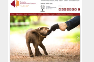 assistenzhunde